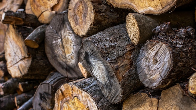 Wooden logs cross section of the tree trunks of trees stacked
closeup wooden background