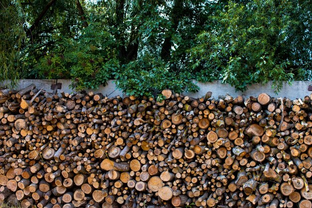 Photo wooden logs cross section of the tree trunks of trees stacked closeup