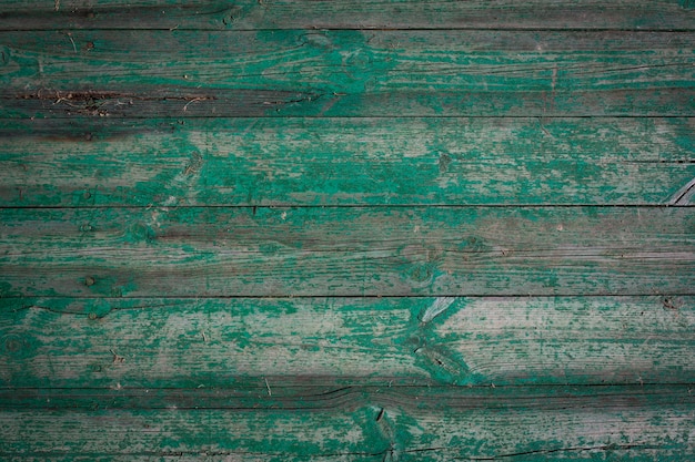 Wooden logs of an old house. Close-up. Weathered green wood texture. Background. Horizontal vertical photo. High quality photo