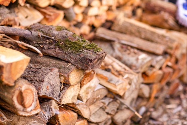 Wooden logs piled up