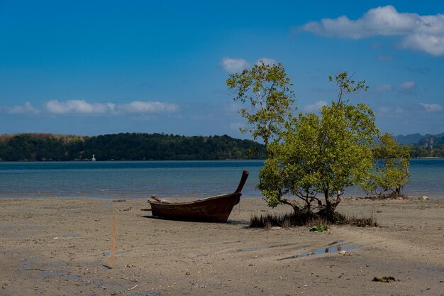 Wooden longtail boat in province Krabi Thailand