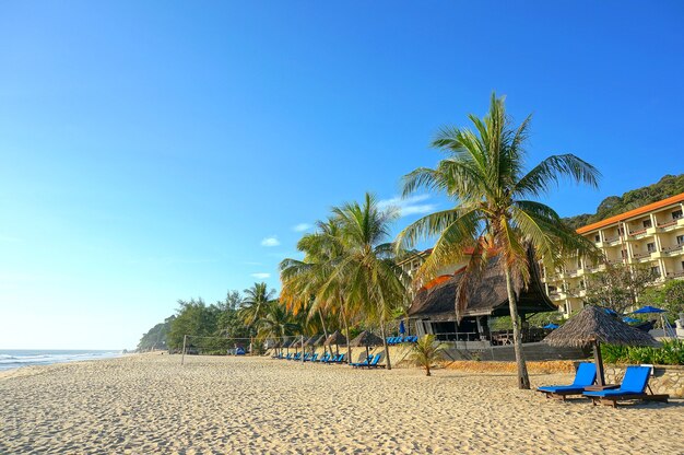 Деревянные шезлонги и зонтик на райском пляже с видом на океан, голубое небо.