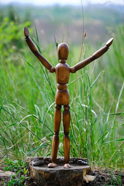 Wooden mannequin In joyful pose raising his hands on a stump against background green grass