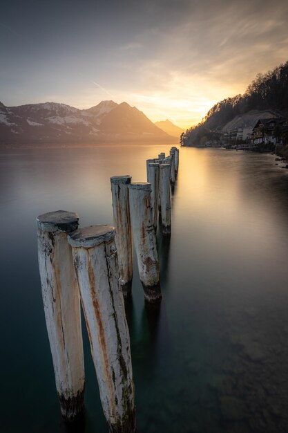 Wooden masts protrude from the water