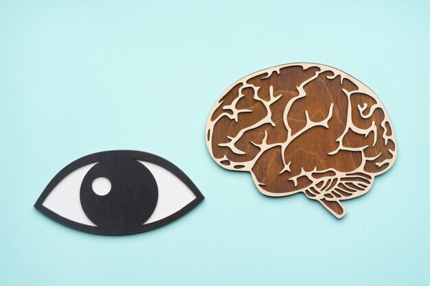 Wooden mock eye and brain on blue background.