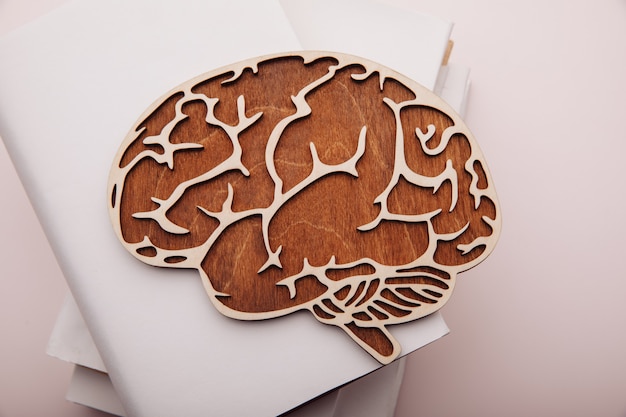 Wooden model of brain and books at desk.