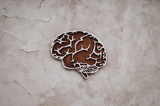 Wooden model of brain on a table Top view