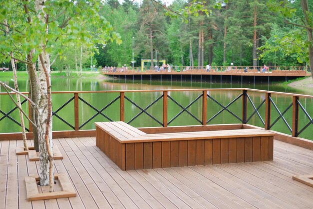 wooden modern bench near a pond in a pine forest in the park public spaces