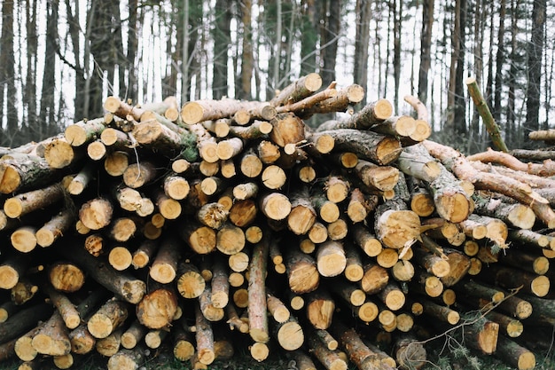 Wooden natural cut logs background.