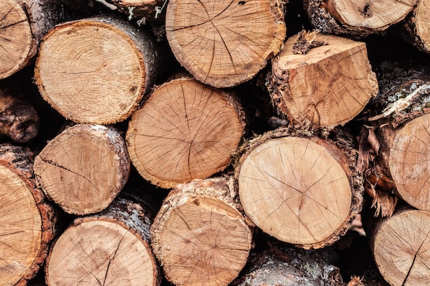 Wooden natural cut logs for harvesting for the winter. Concept of heat in the house