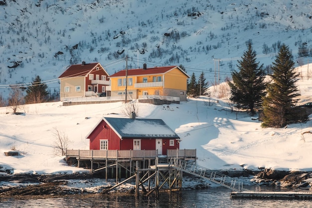Wooden Nordic red house on coastline in winter at Lofoten Islands, Norway