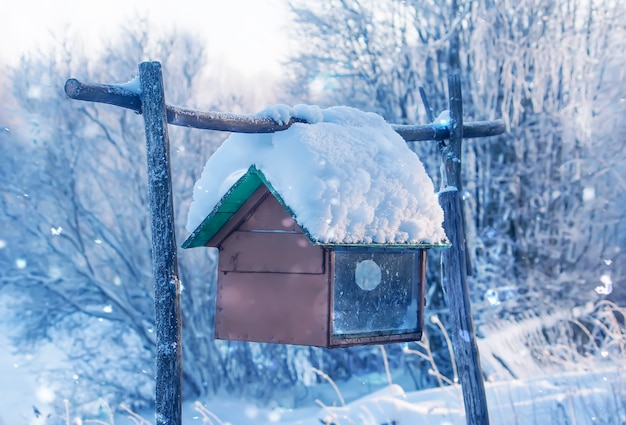 Wooden old feeder for birds hanging outdoors.