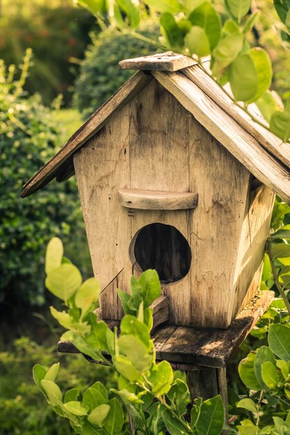 木製の屋外の庭の鳥木製の入れ子の家庭の巣の家。庭の自然のアイデア