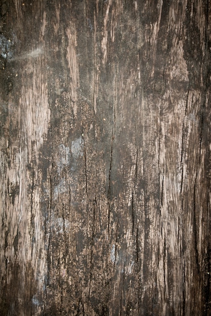 Foto struttura del pannello di legno per lo sfondo