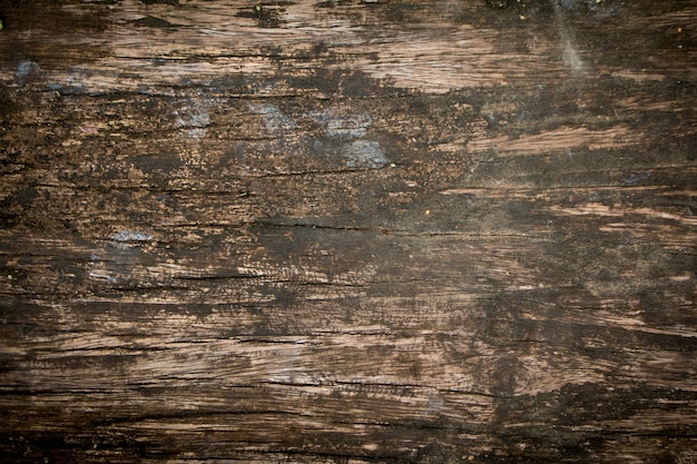 Wooden panel texture for background