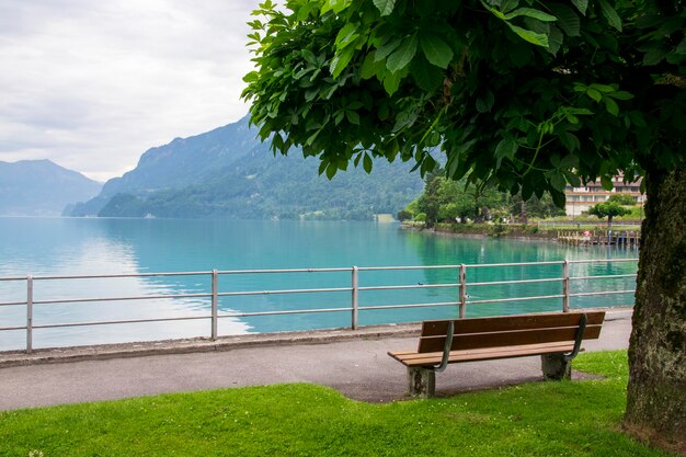 벤치 왼쪽에서 인터라켄의 브리엔츠 호수(Brienz Lake) 옆에 있는 놀라운 호수 전망이 있는 나무 공원 벤치