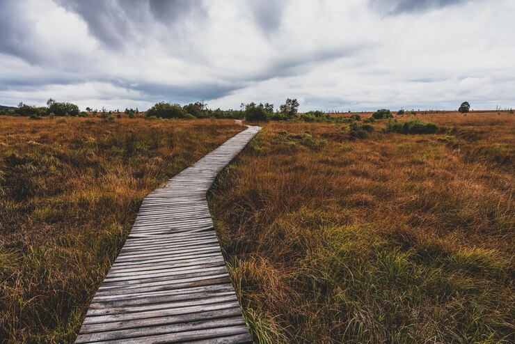 Photo wooden path in eifel nature park hohes venn