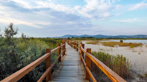 Wooden path in nature park by lake. Lake Vrana, Vransko jezero, Croatia. Bird watching park, beauty in nature.