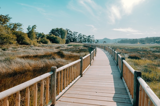 A wooden path through the beach during a super sunny day