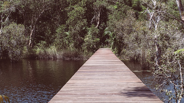 Деревянная дорожка в глубоком зеленом лесном озере. Красивая деревянная тропа для походов на природу с озерами и лесным ландшафтом Районг Провинциальный Восточный Центр Растений Таиланд