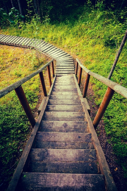 Wooden pathway in the forest