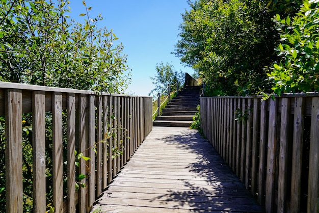 Wooden pedestrian walkway path bridge go to puy de dome french mountains volcano