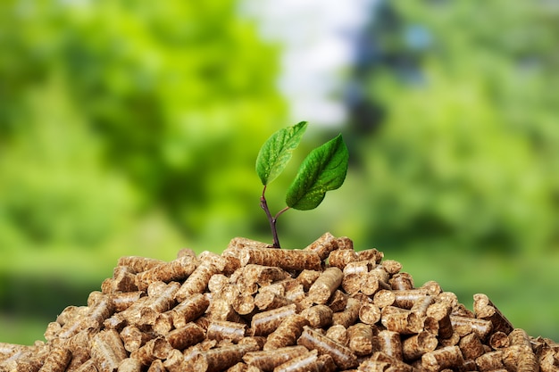 wooden pellet