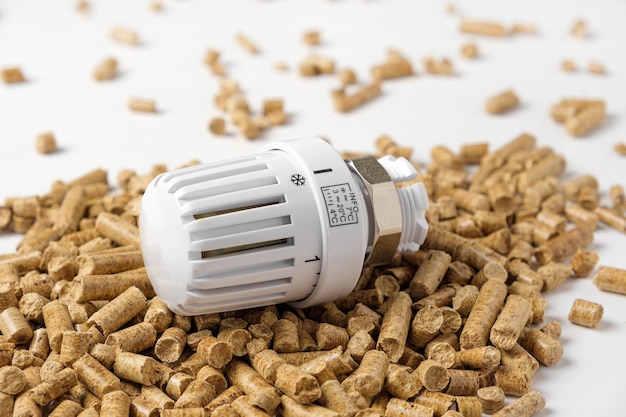 Wooden Pellets with Thermostat Thermostatic Valve Head Isolated on White Background Renewable Source of Heating Biofuel Ecologic Fuel made from Biomass The Alternative Energy Source Gas Crisis