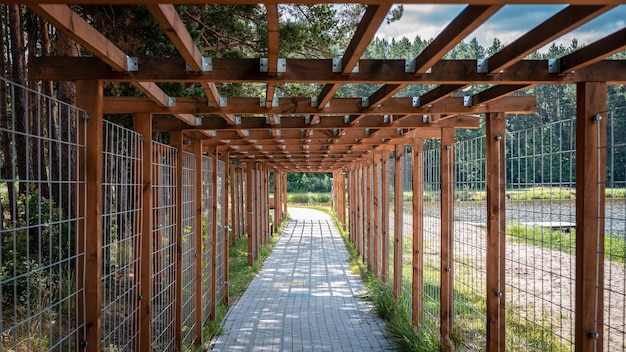 Foto pergola in legno sopra il marciapiede di ciottoli che conduce lungo la scarpa del lago e la prospettiva di un punto della foresta