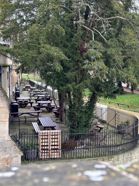 Foto tavoli da picnic in legno su una terrazza di un caffè sul fiume