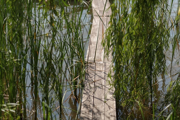 Wooden pier on the lake in village