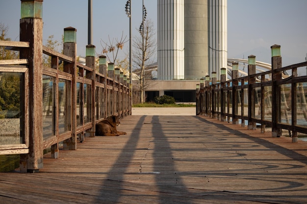 Wooden pier in the morning sun with a rope frame