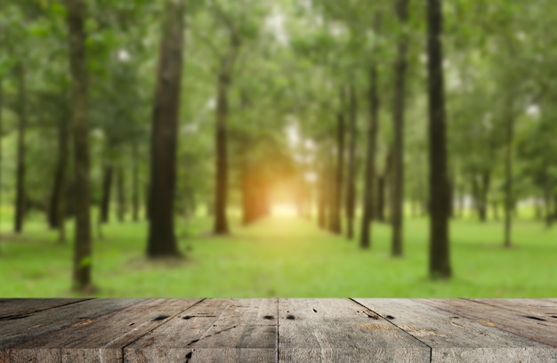 Wooden plate with green forest background.