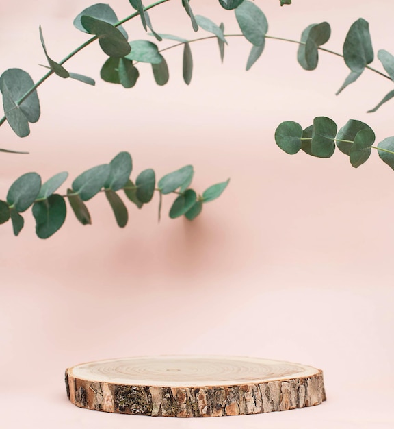 Wooden platform or podium with copyspace for products presentation over pastel background with eucalyptus branches