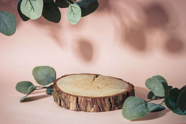 Wooden podium for presentation with eucalyptus leaves on pink background