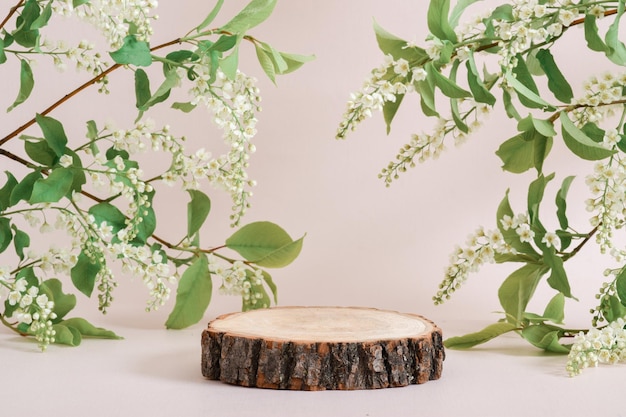 Wooden podium with a flowering cherry branch on a beige background The pedestal is made of natural wood Presentation of ecoproducts