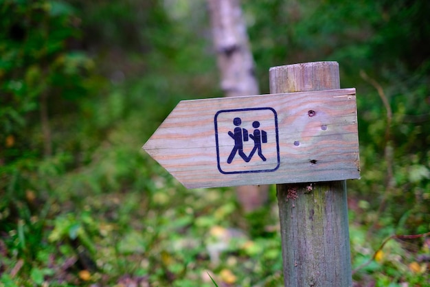 Photo a wooden pole with an indicator of the direction of a walking route in a forest park area recreation