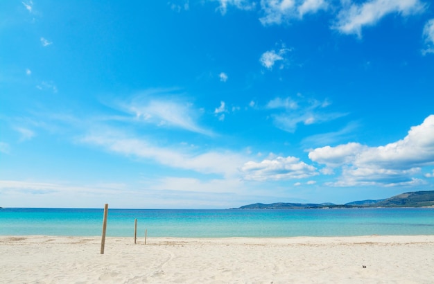 Wooden poles in Maria Pia beach Sardinia