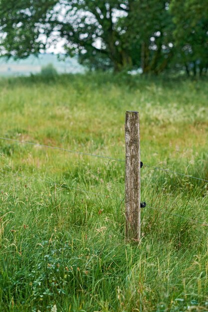 Palo di legno e recinzione elettrica utilizzati come confine per proteggere e proteggere le pianure della fattoria in campagna paesaggio di prato verde brillante con piante e alberi lussureggianti in un campo remoto in primavera