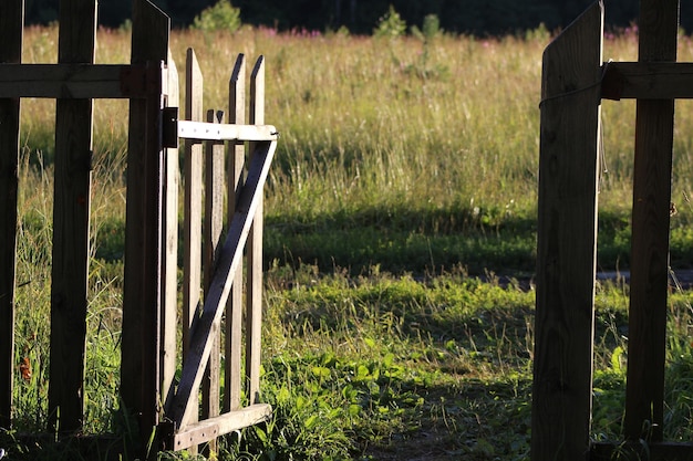 Photo wooden post on field