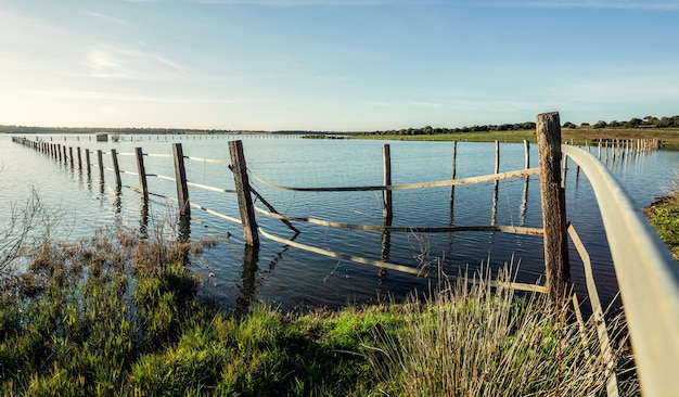 Wooden post inside the lake with reflections in the water