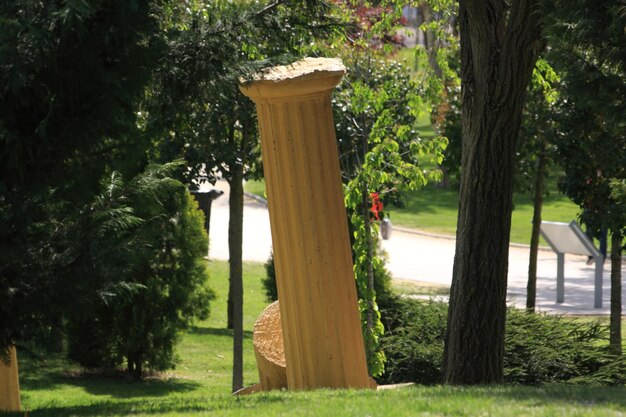 Wooden post in park