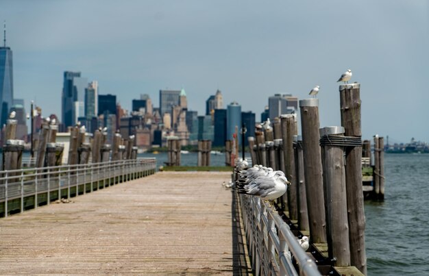 Photo wooden post on pier by sea against sky