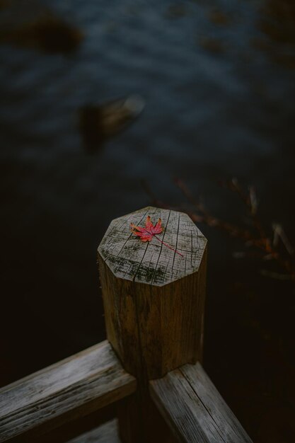 A wooden post with a red maple leaf on it