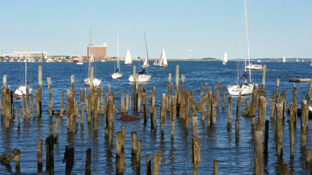 Wooden posts amidst river at boston harbor