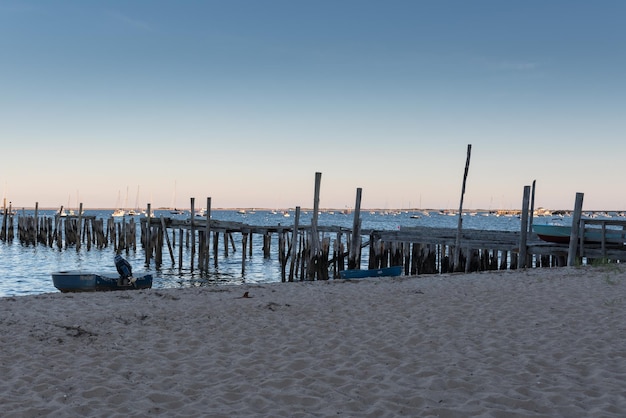 Foto postelli di legno sulla spiaggia contro un cielo limpido