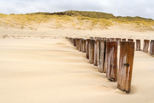 Photo wooden posts on beach against sky during winter