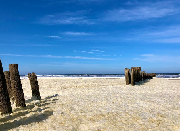 Wooden posts on beach against sky