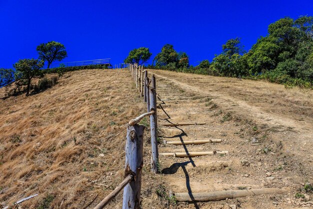 Wooden posts on field against clear blue sky