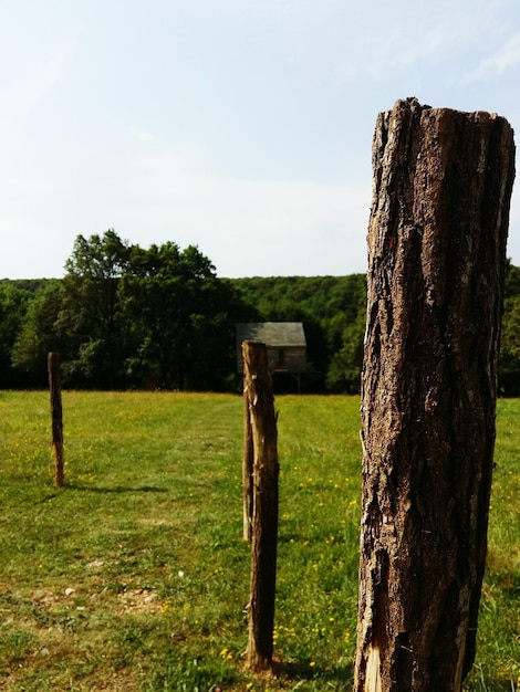 Wooden posts on grassy field against sky